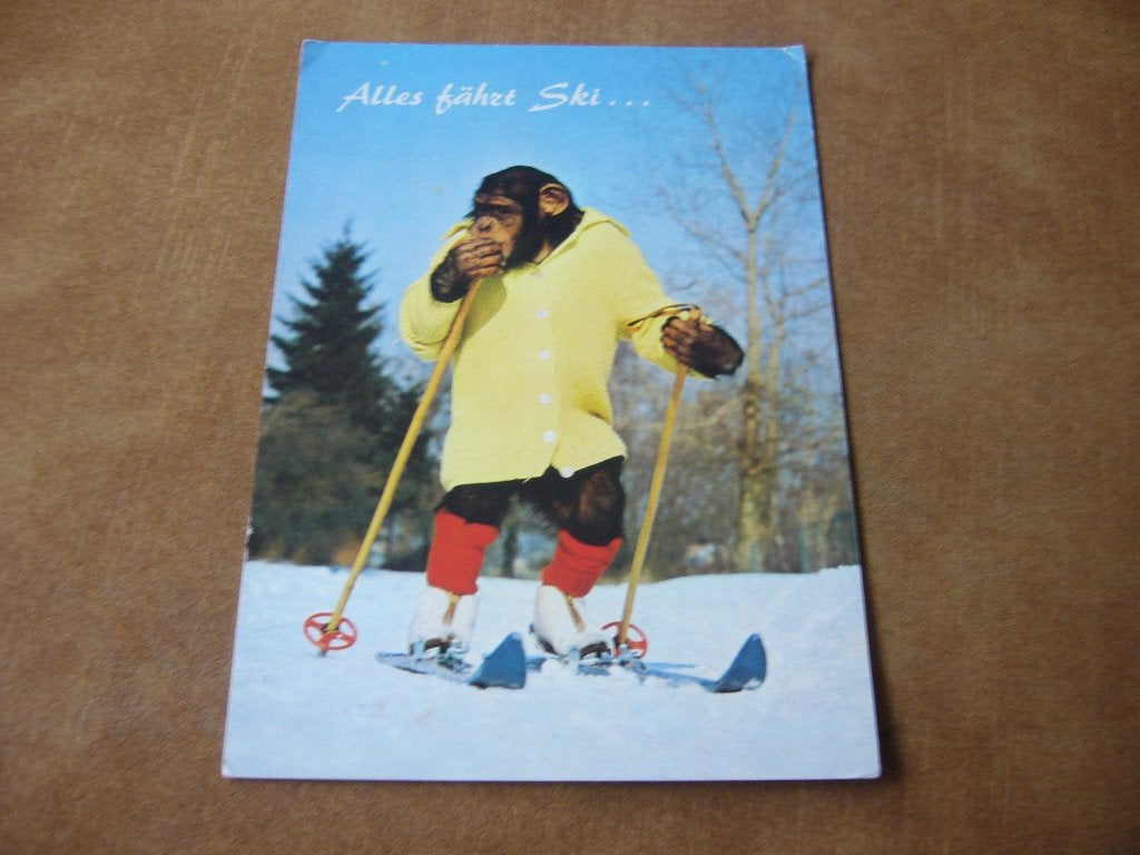 AAP OP SKIEEN, Verzamelen, Ophalen of Verzenden, 1960 tot 1980, Gelopen, Hond of Kat