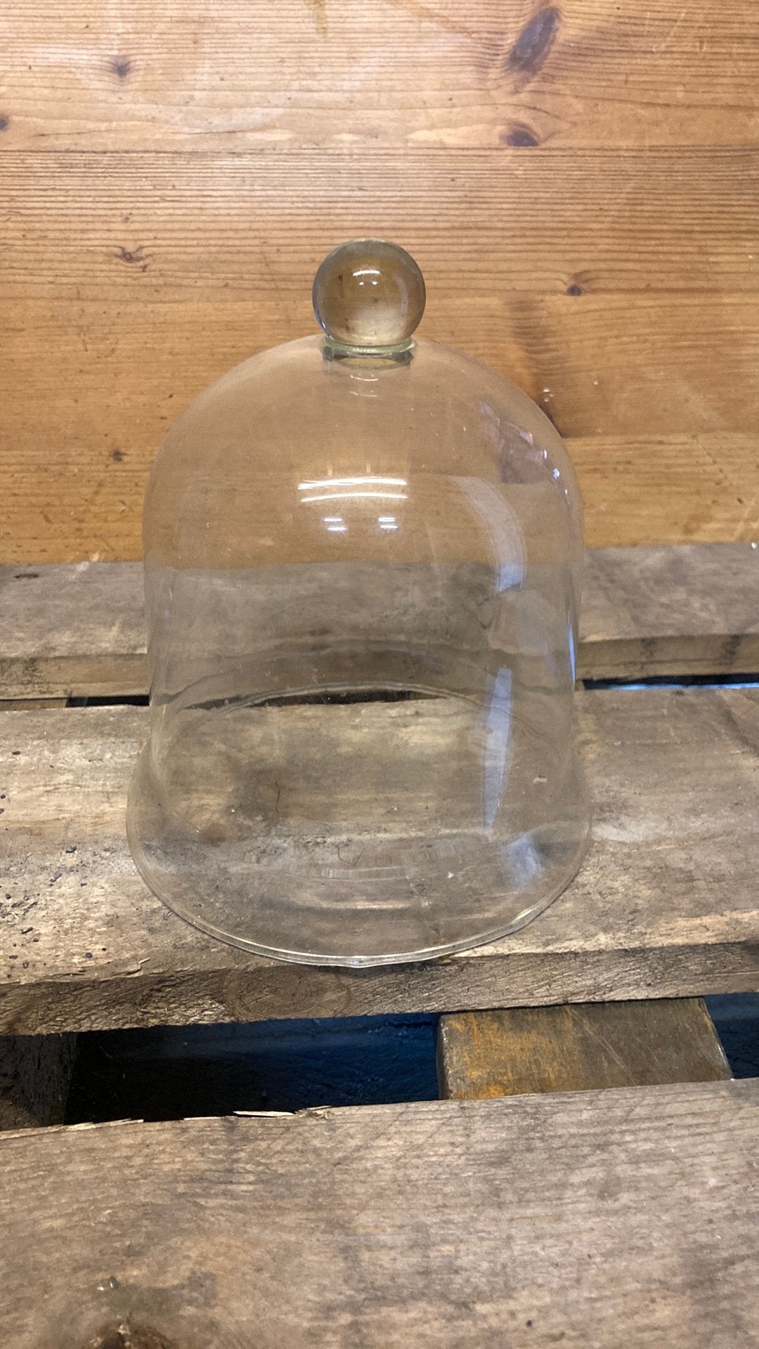 Glazen stolp hoogte 18 cm doorsnede onder 15,5 cm, Ophalen of Verzenden, Zo goed als nieuw