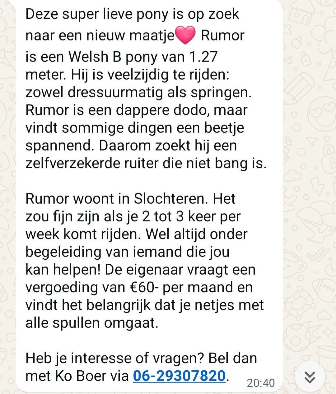 Bijrijder gezocht, Dieren en Toebehoren, Ophalen of Verzenden
