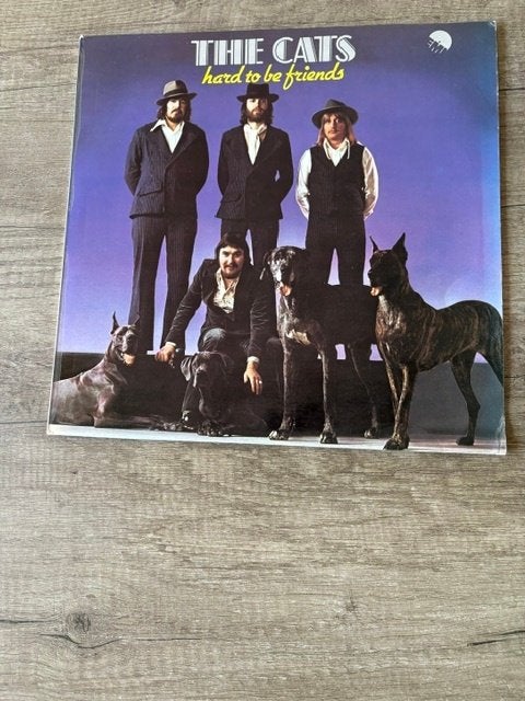 LP The Cats - Hard To Be Friends - 1975, Ophalen of Verzenden, Gebruikt, Rock, LP