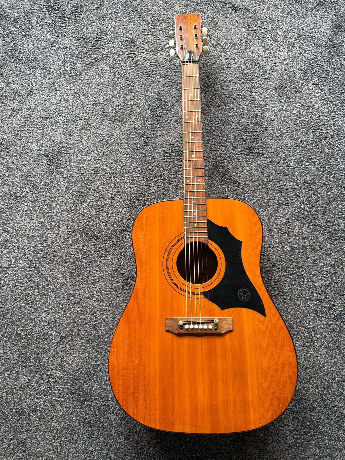 KAY WESTERN MADE IN ITALY EKO RANGER, Ophalen, Gebruikt, Western- of Steelstringgitaar
