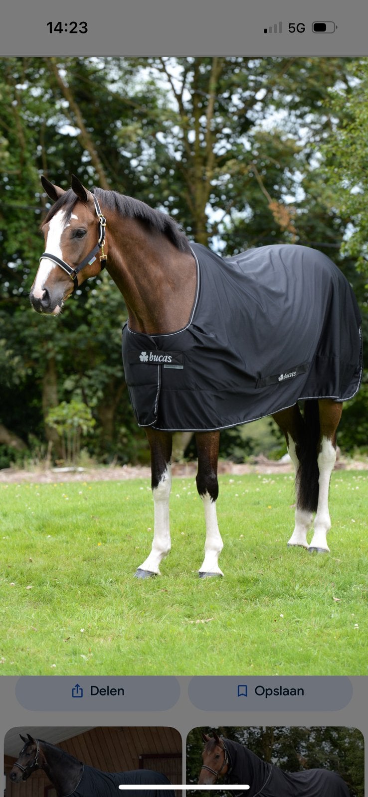 Bucas power cooler 165, Bucas, 0 g, Zweetdeken, Ophalen of Verzenden
