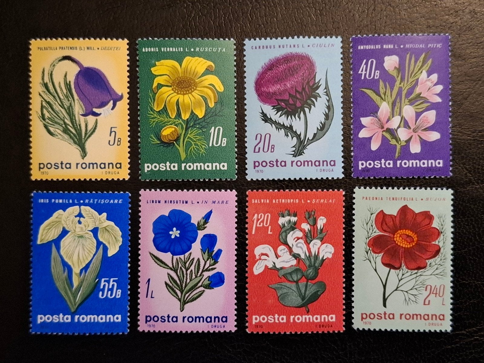 Roemenië 1970 Bloemen, Ophalen of Verzenden, Overige landen, Postfris