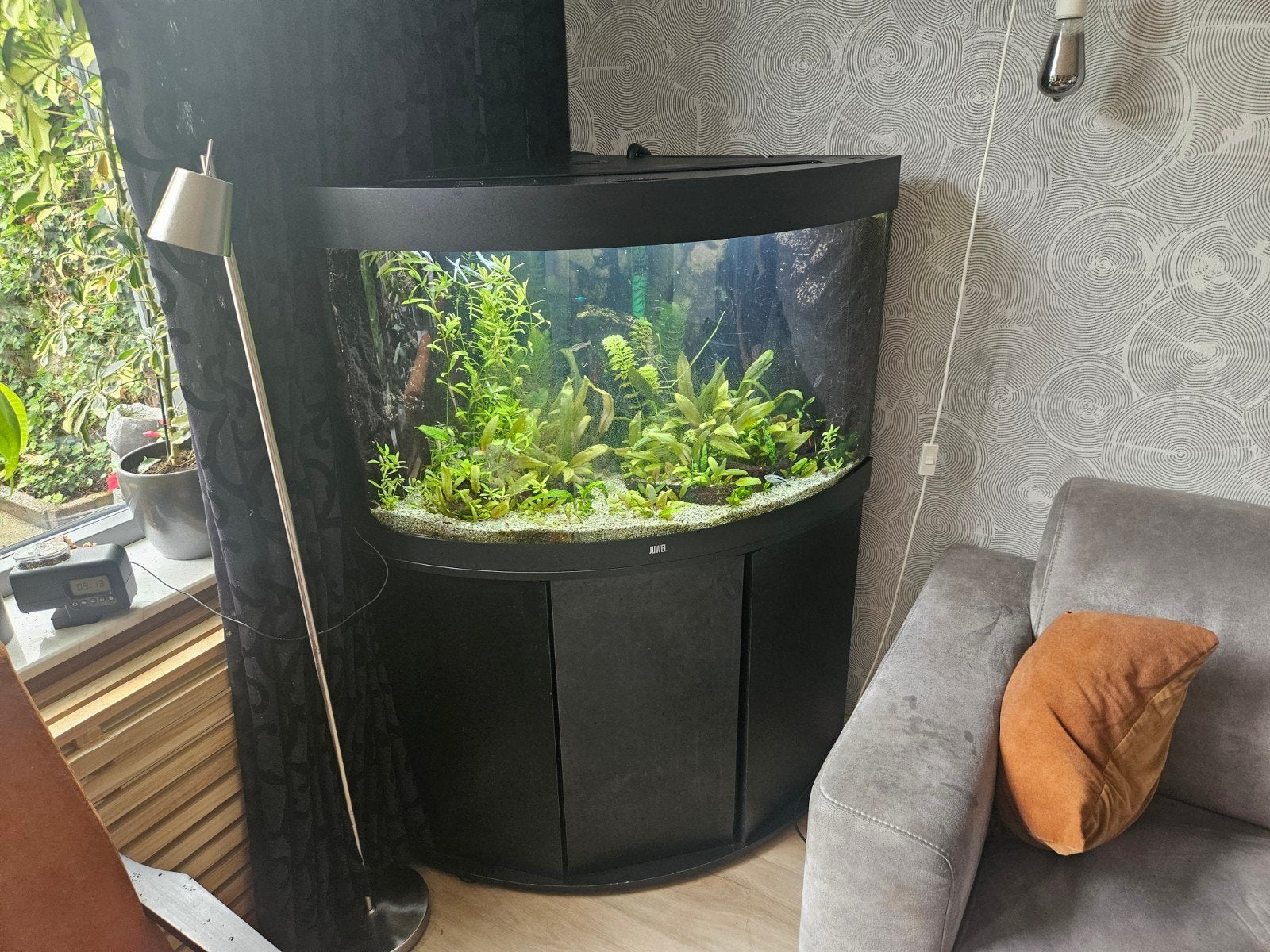 TE KOOP: Compleet Juwel Trigon Aquarium 190 Liter zwart, Dieren en Toebehoren, Ophalen, Gevuld zoetwateraquarium