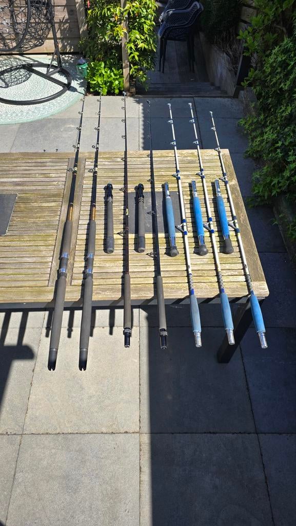 Verschillende (zee) vishengels en reels / molens te koop, Ophalen, Werphengel