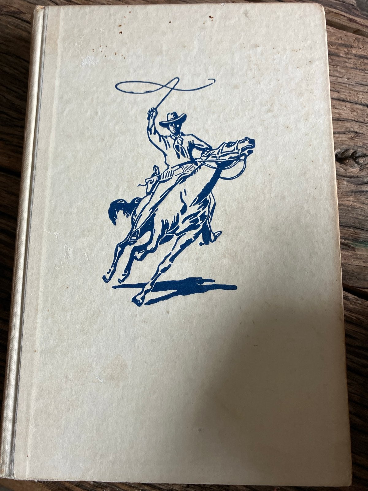 19. De Jacht op de Grijze Hengst - Arendsoog, Boeken, Ophalen of Verzenden, Gelezen