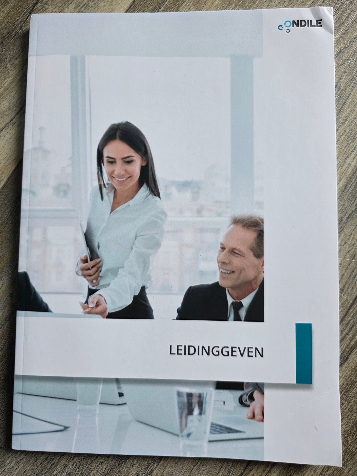 Boek: Leidinggeven - Management Transport en Logistiek, Ophalen of Verzenden, Beta, Nieuw, Niet van toepassing