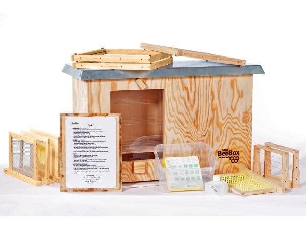 bijenkast Easy beebox, nieuw in doos!, Bijen