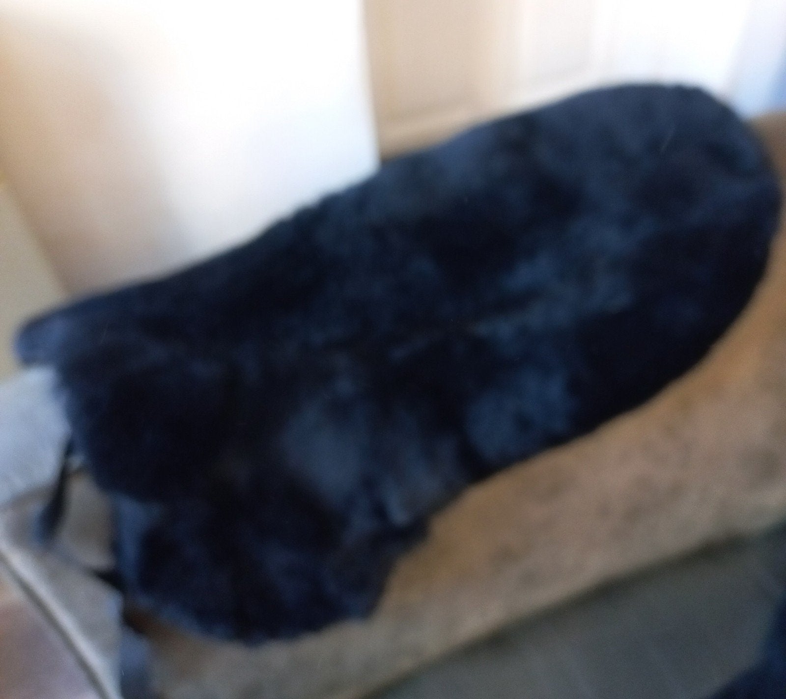 zadel dekje, Dieren en Toebehoren, Full (L), Zadeldekje, Nieuw, Ophalen of Verzenden