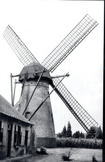 (BG129) Ansichtkaart België molen Kaulille 1989, Verzamelen, Ansichtkaarten | België, Ophalen of Verzenden, 1980 tot heden, Ongelopen