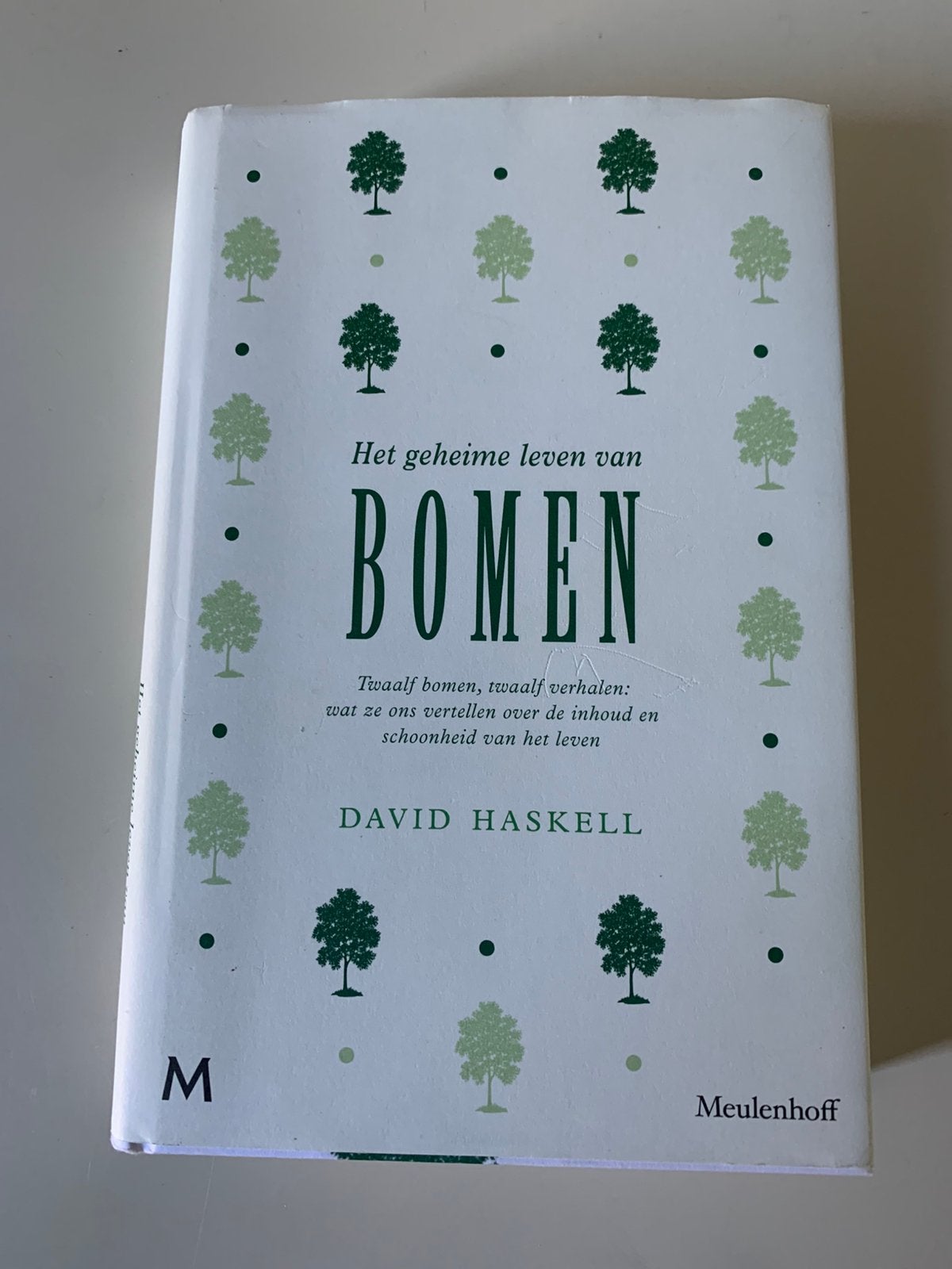 BOMEN - interessante filosofieën - David Haskell- nieuw, Boeken, Filosofie, Ophalen of Verzenden, Zo goed als nieuw