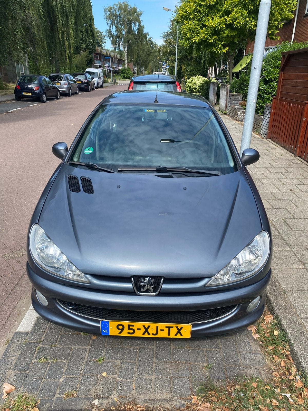 Peugeot 206 1.4 5D 2007 Grijs, Voorwielaandrijving, 31 €/maand, 4 cilinders, Origineel Nederlands