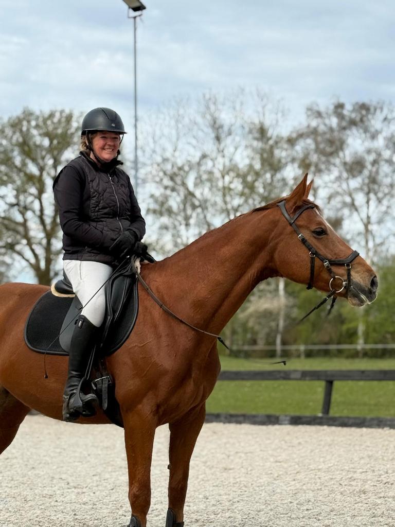 10 jarig dressuur merrie, Dieren en Toebehoren, Merrie, Dressuurpaard