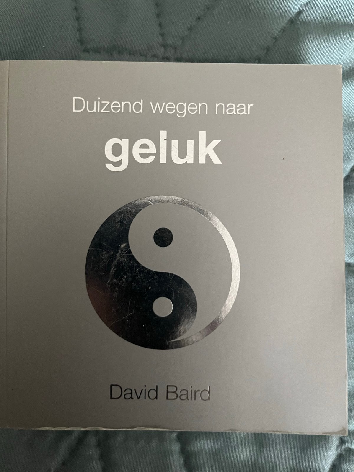 Duizend wegen naar geluk - David Baird (Zo goed als nieuw), Boeken, Ophalen of Verzenden, Zo goed als nieuw, Spiritualiteit algemeen