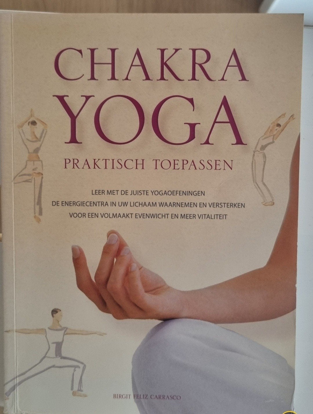 Chakra Yoga, Boeken, Verzenden, Meditatie of Yoga, Instructieboek