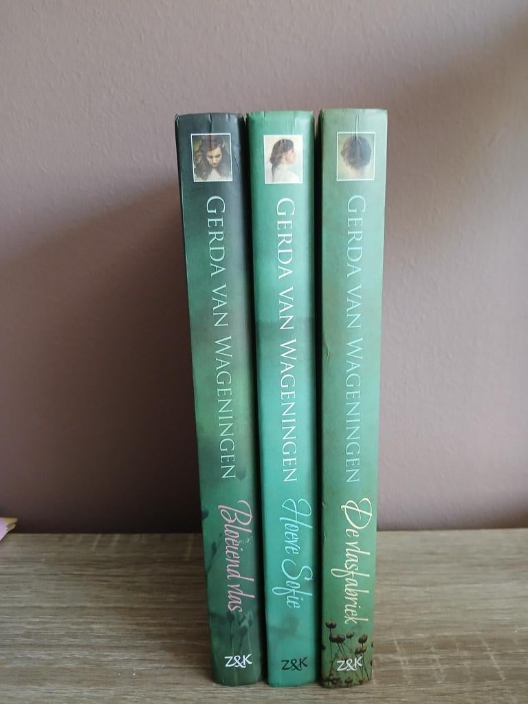 Vlastuin trilogie. Compleet in goede staat., Boeken, Ophalen of Verzenden, Drenthe
