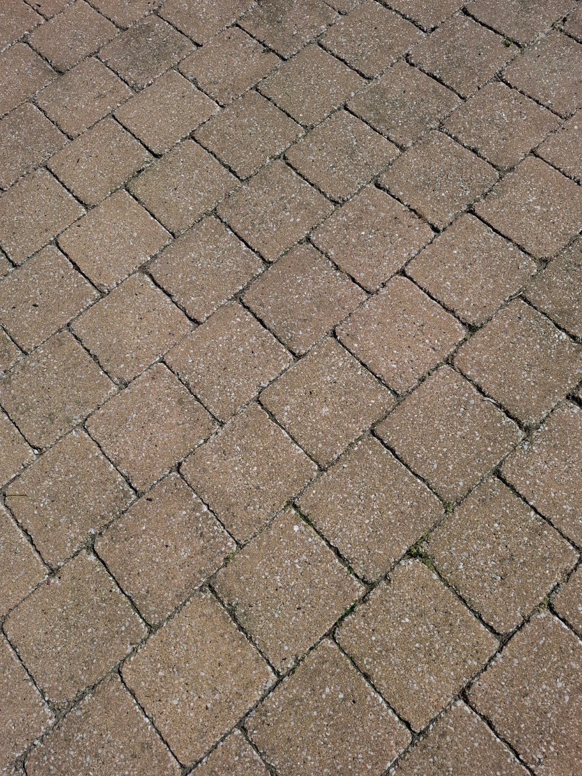 Trommelsteen 20 x 20, Ophalen, Gebruikt, Beton, Terrastegels