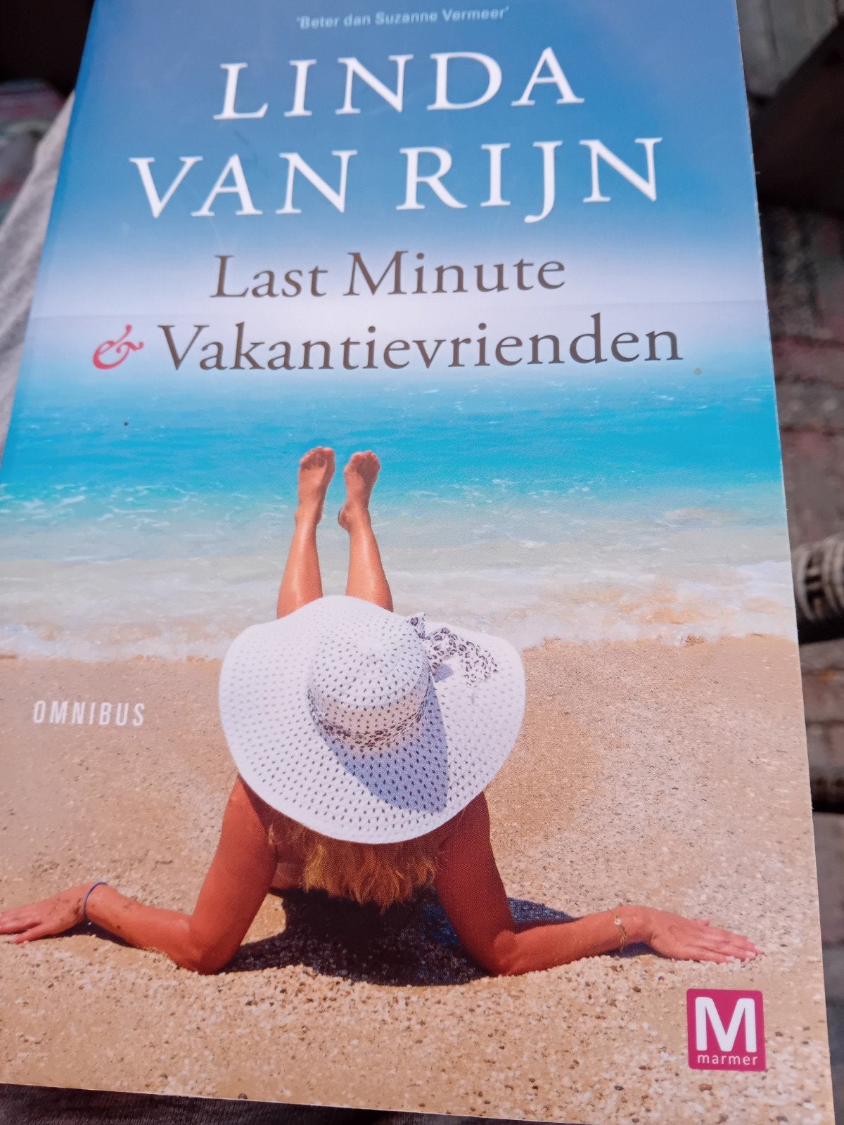 Linda van Rijn Omnibus: Last Minute & Vakantievrienden, Boeken, Ophalen of Verzenden, Zo goed als nieuw, Linda van Rijn, Nederland
