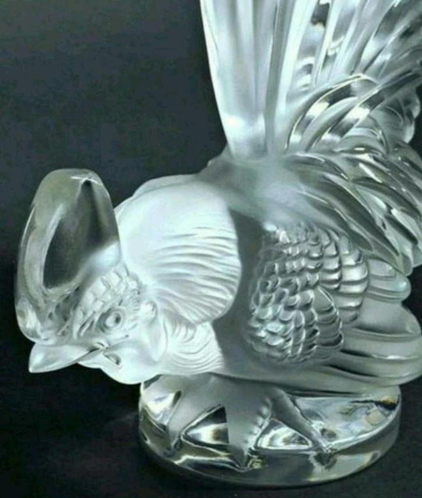 Coq Nain / Krielhaan / Dwerghaan, Ophalen of Verzenden