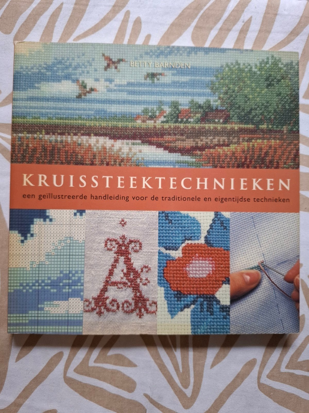 Kruissteek technieken, 2e vd helft, Boeken, Ophalen of Verzenden, Zo goed als nieuw, Borduren en Naaien