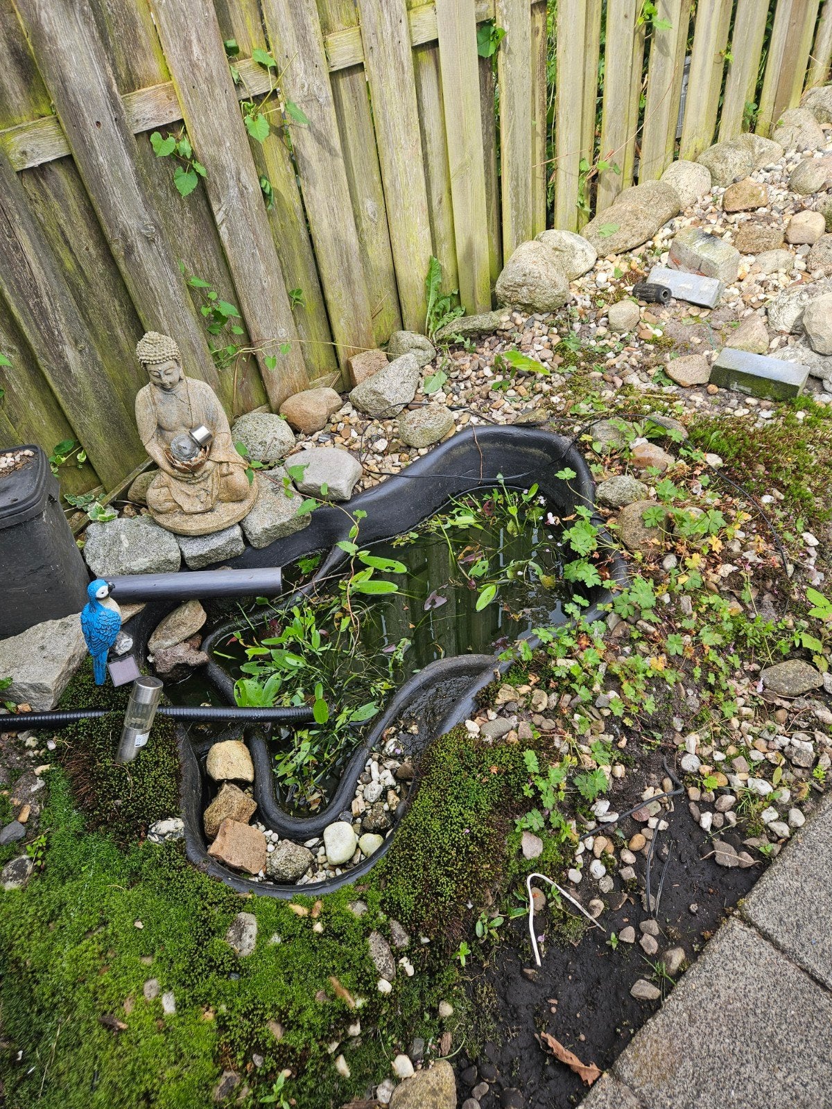 Vijver, Tuin en Terras, Vijvers, Ophalen
