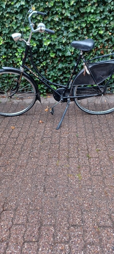 damesfiets altra, Fietsen en Brommers, Fietsen | Dames | Damesfietsen, Ophalen, Gebruikt, Overige merken, Versnellingen