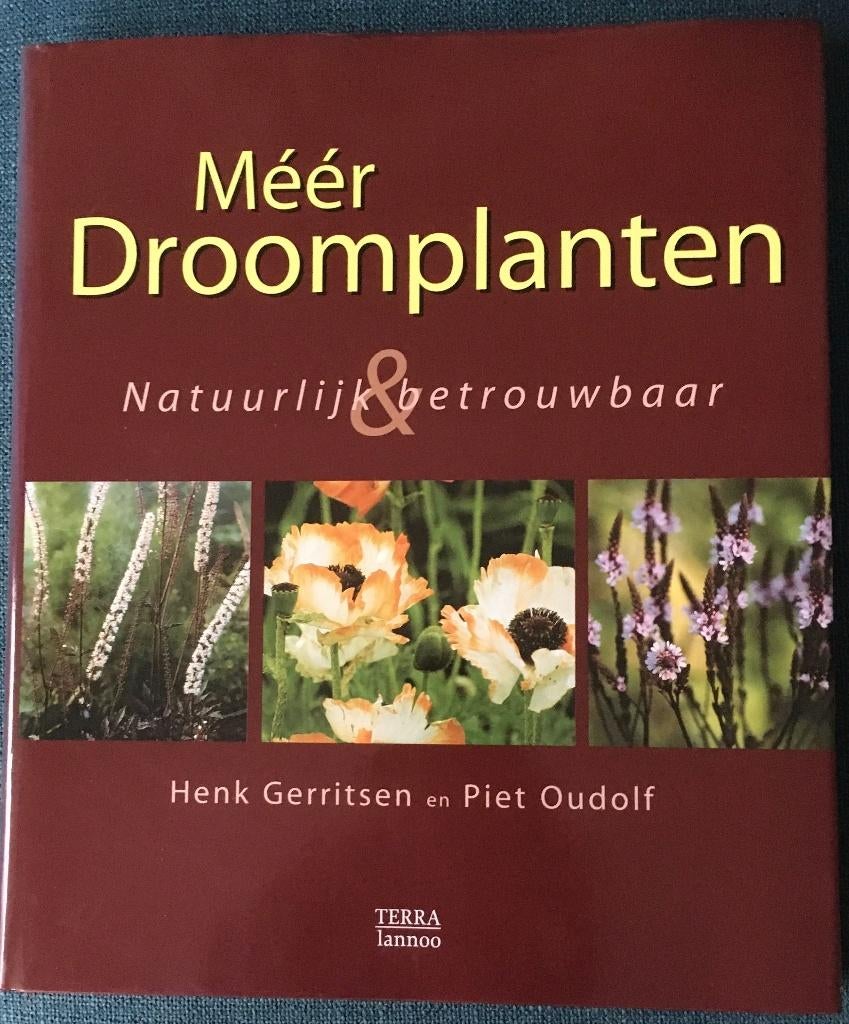 MEER DROOMPLANTEN PIET OUDOLF EN HENK GERRITSEN., Boeken, Ophalen of Verzenden, Zo goed als nieuw, Tuinieren en Tuinplanten