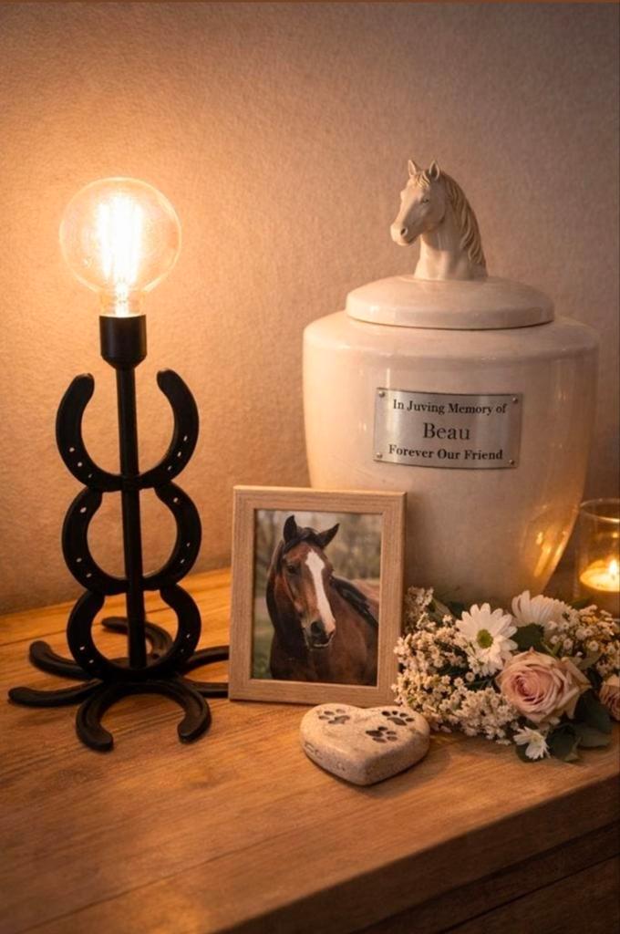 Hoefijzerlamp voor gedenkplek urn paard pony, Ophalen of Verzenden, Nieuw