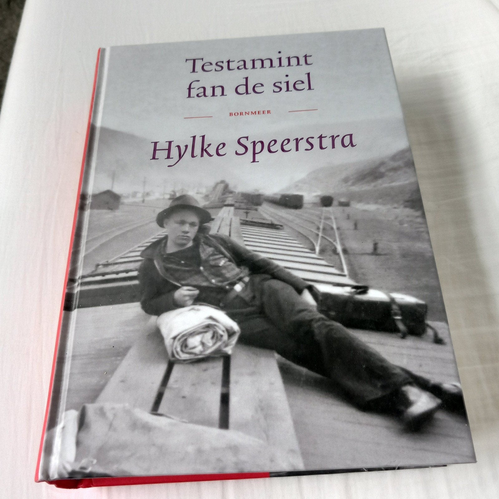 Testamint fan de siel - Hylke Speerstra, Ophalen of Verzenden, Zo goed als nieuw, Hylke Speerstra