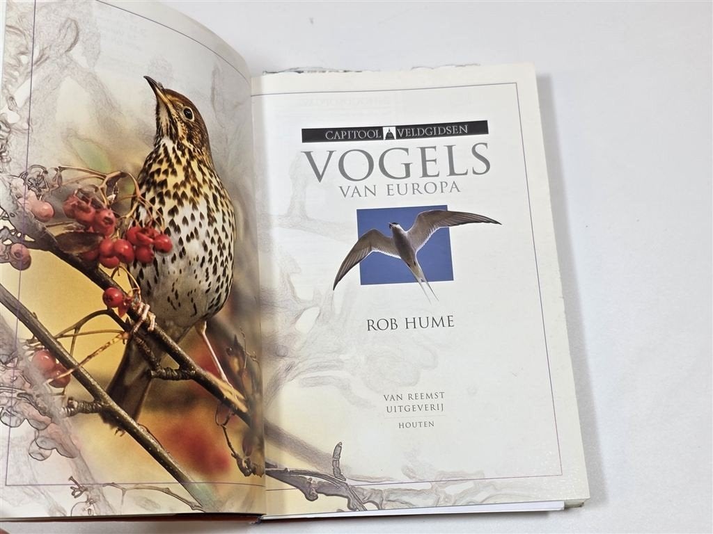 Vogels van Europa — Capitool Veldgids, Naslagwerk, Boeken, Ophalen of Verzenden, Gelezen, Vogels