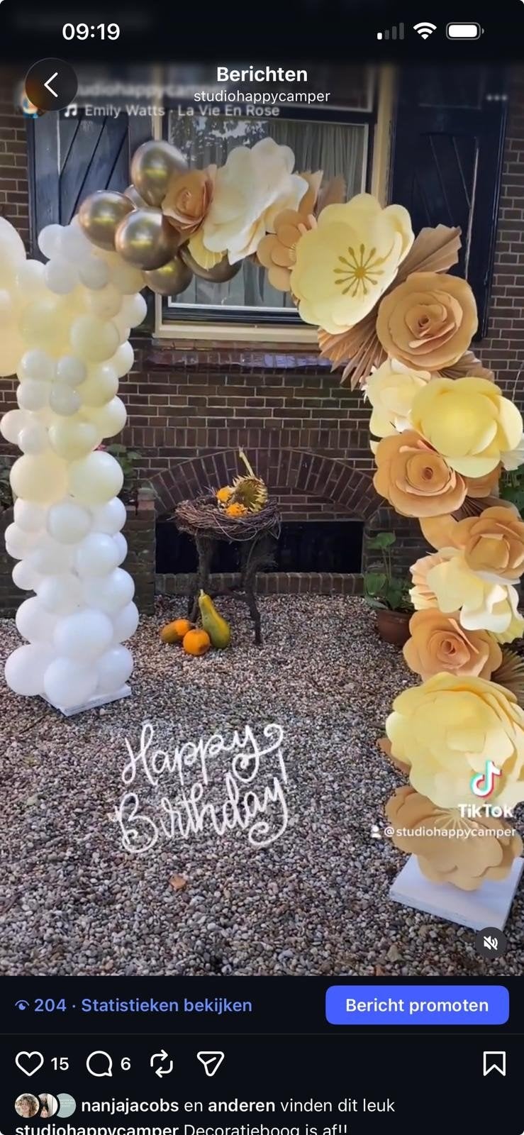 Ballonnen- en bloemenboog frame voor huwelijk of feestje, Ophalen of Verzenden, Zo goed als nieuw, Versiering, Geboorte of Huwelijk