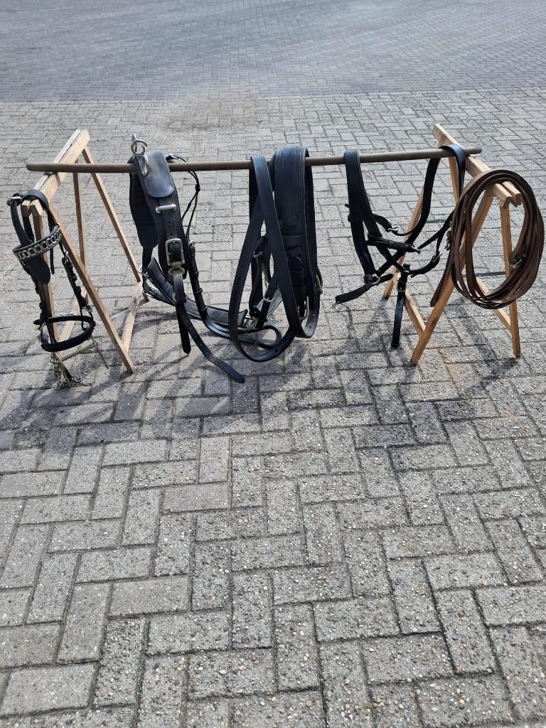 paarden en ponys, Ophalen, Gebruikt, Recreatie