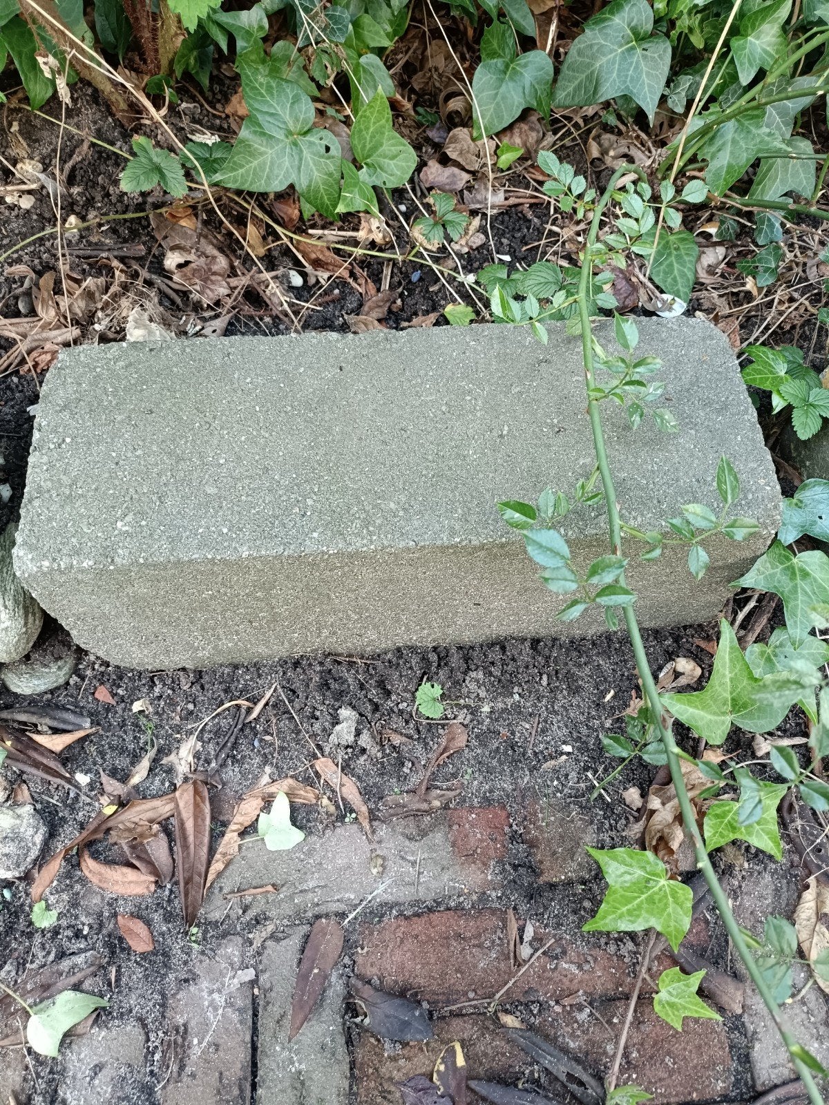 Betonnen blokken voor tuin of border, Tuin en Terras, Ophalen, Gebruikt, Blok, Minder dan 25 cm