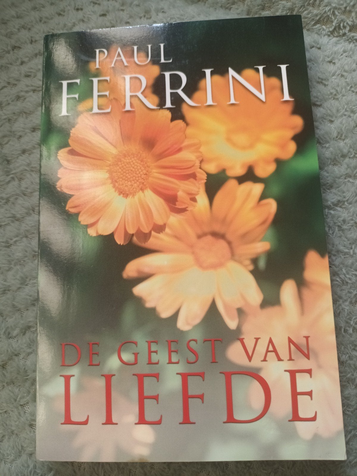 Paul Ferrini - De geest van liefde, Achtergrond en Informatie, Spiritualiteit algemeen, Paul Ferrini, Ophalen of Verzenden