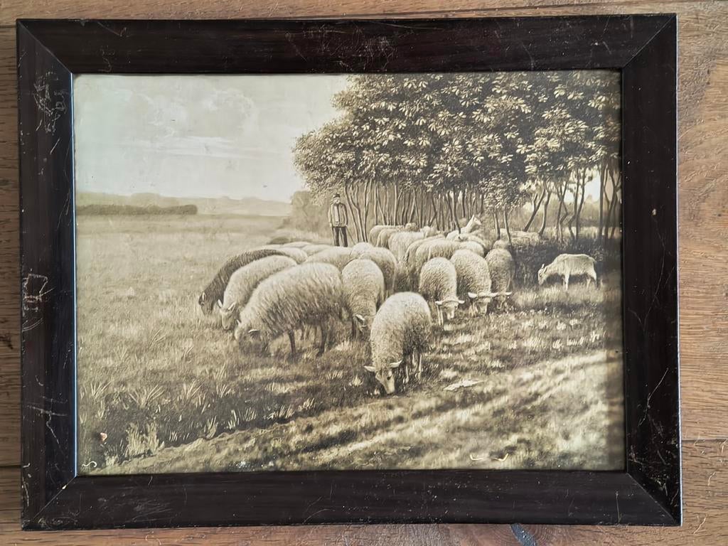 Vintage ingelijste prent schapen kudde, Antiek en Kunst, Ophalen of Verzenden