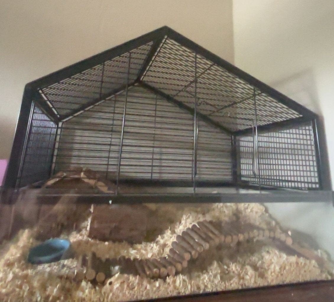 Hamster kooi gratis ( gebruikt), Dieren en Toebehoren, Knaagdieren en Konijnen | Hokken en Kooien, Kooi, Gebruikt, Minder dan 75 cm