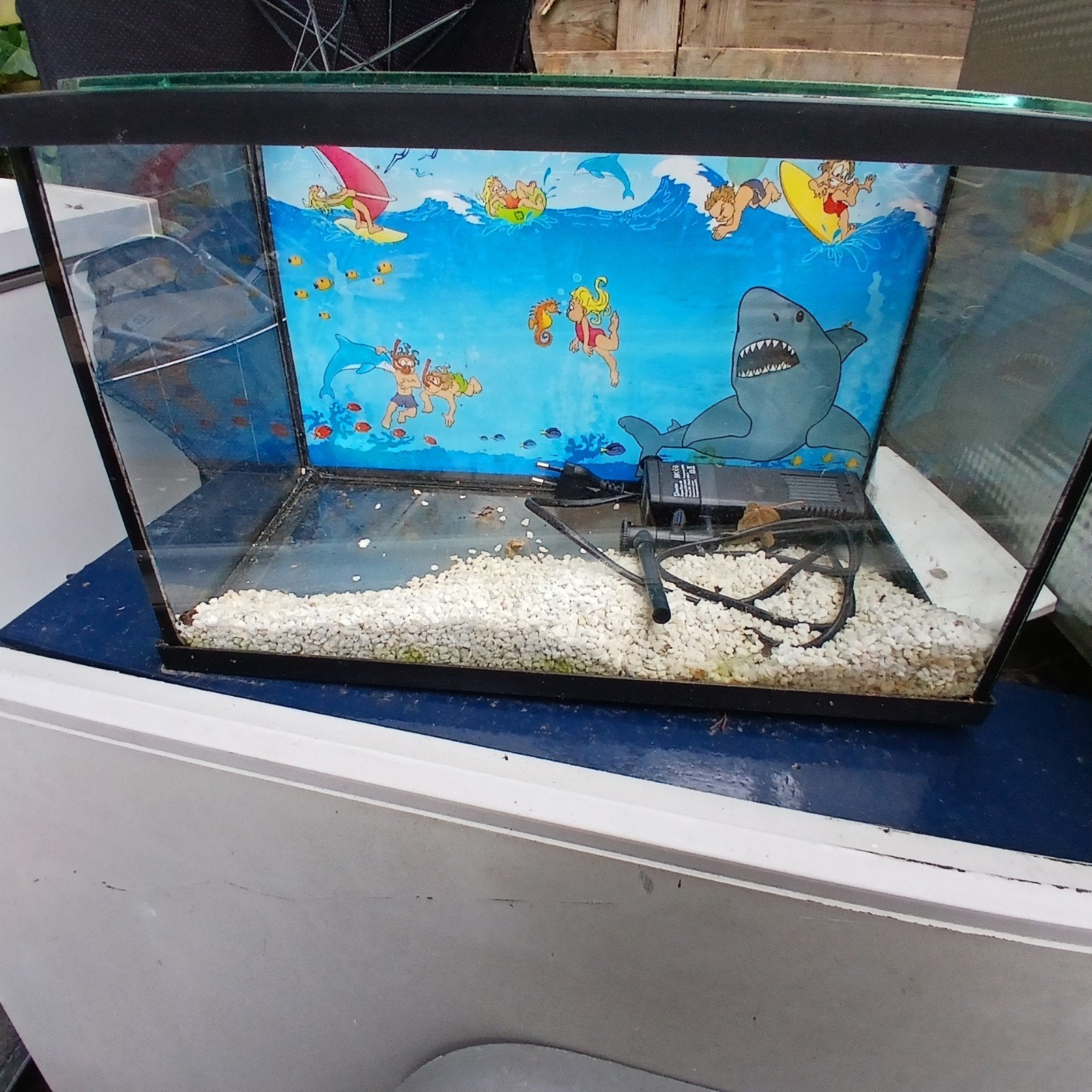 Aquarium, Dieren en Toebehoren, Ophalen