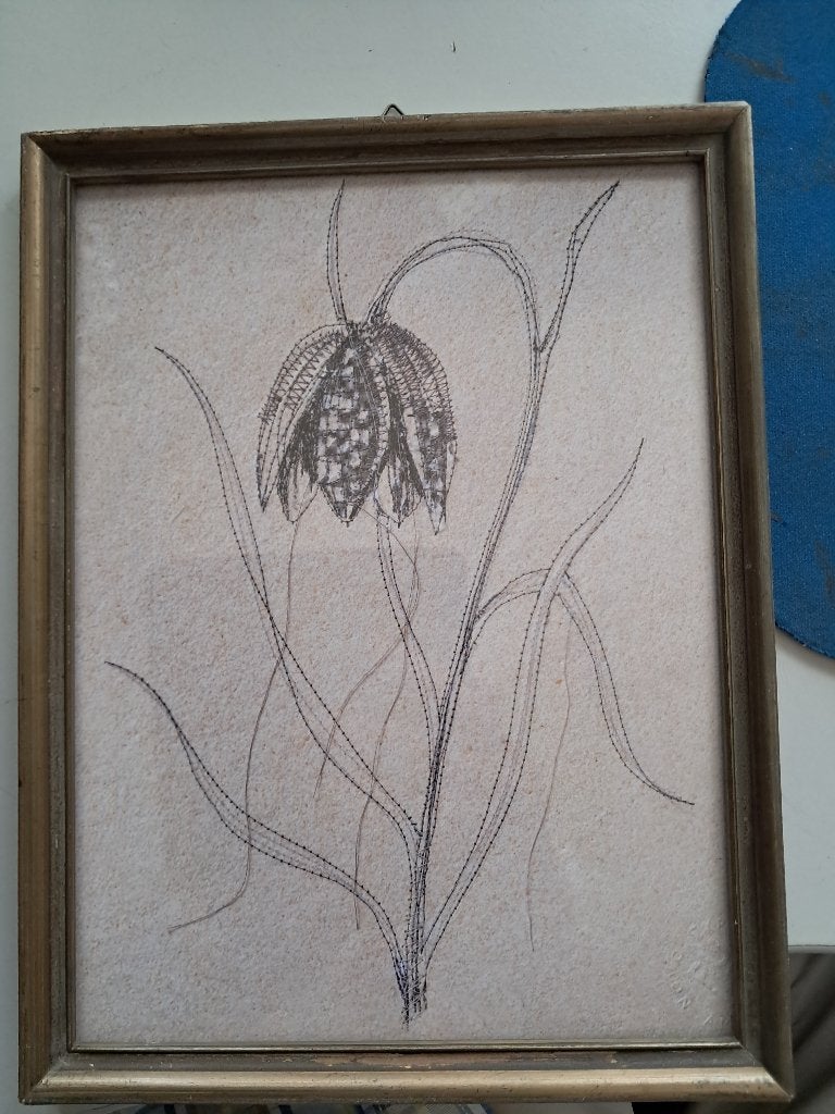 Aquarel/schilderstukje? tulp,afm lijst 26x19 cm,achter glas, Ophalen of Verzenden, Achter glas, Bloemen