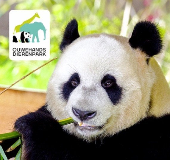 Ouwehands Dierenpark Rhenen, Tickets en Kaartjes, Drie personen of meer, Ticket of Toegangskaart
