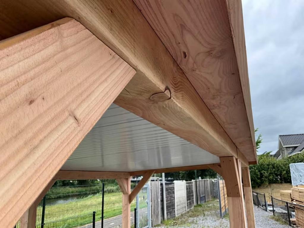 Douglas overkapping compleet pakket met sandwichpanelen dak, Ophalen of Verzenden, Nieuw, 250 cm of meer, Overige typen