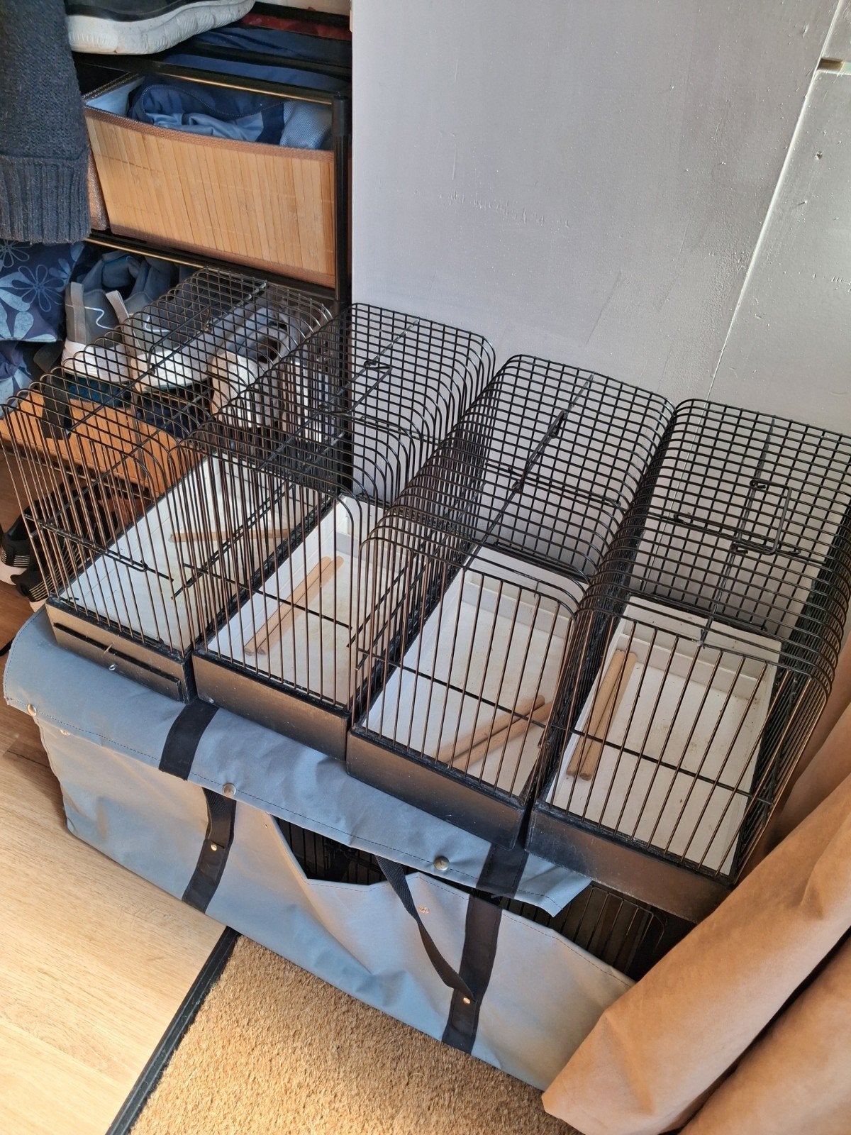 noupkooien, Ophalen, Zo goed als nieuw, Vogelkooi