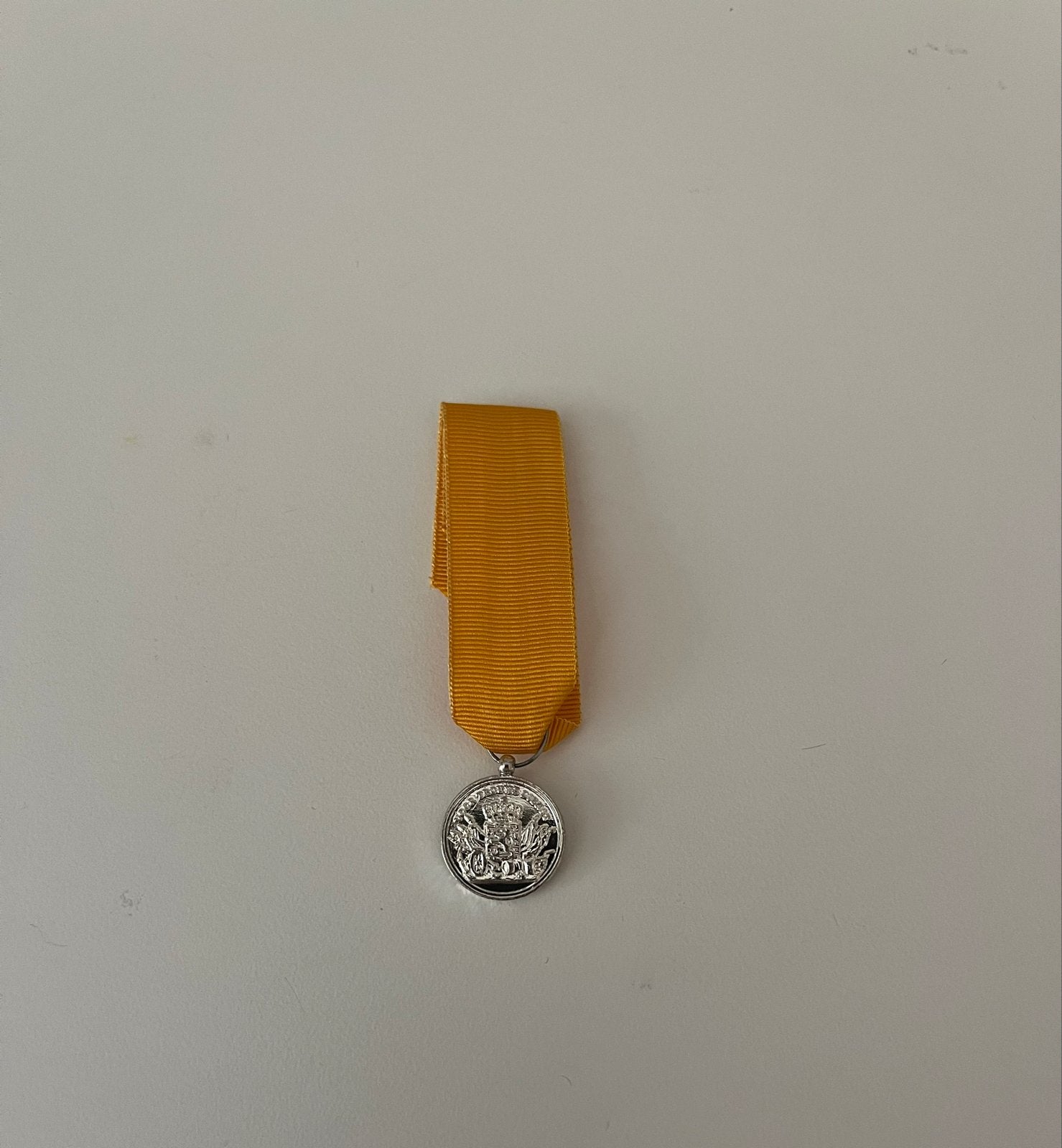 Miniatuur Trouwe Dienst medaille 24 jaar, Verzenden, Zilver, Nederland