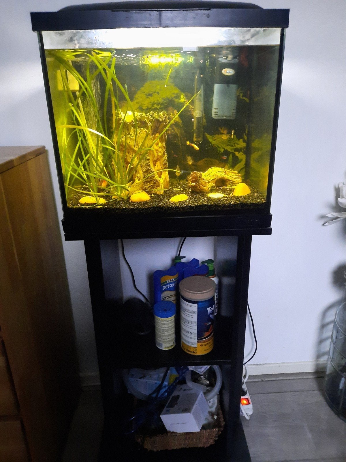 Superfish 50 aquaruim op meubel zwart met vissen compleet, Dieren en Toebehoren, Ophalen, Gebruikt, Verlichting of Verwarming