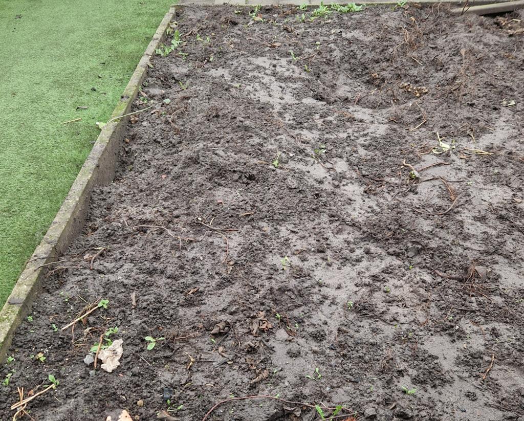 Gratis afhalen zwarte grond, tuinaarde, Ophalen, Tuinaarde