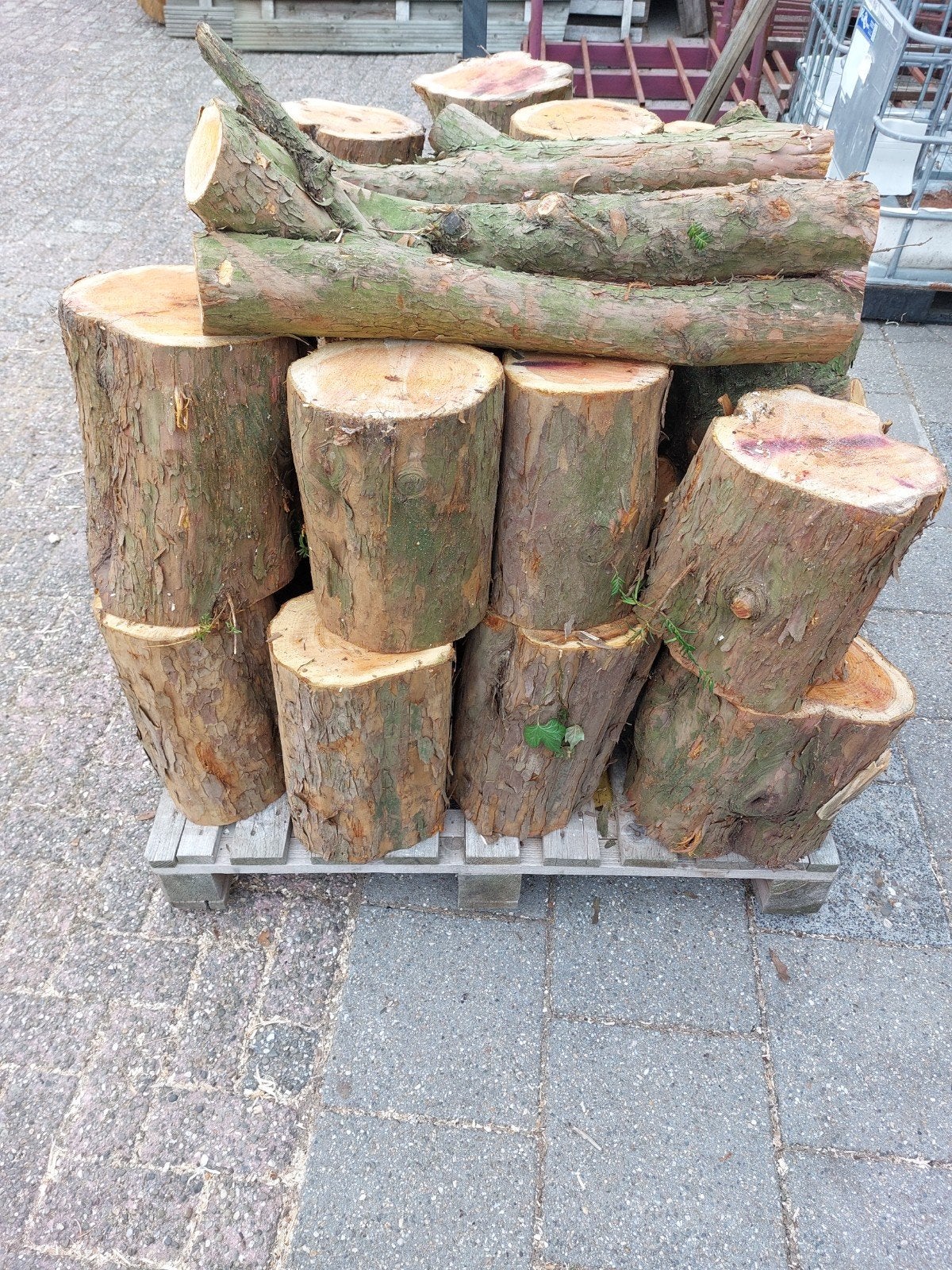 vers taxus  hout, Minder dan 3 m³, Ophalen