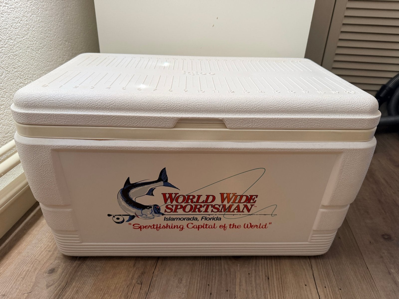 Igloo Koelbox met zitkussen - 60x35x37 cm, Caravans en Kamperen, Koelboxen, Nieuw, Koelbox, Koelelement, Ophalen
