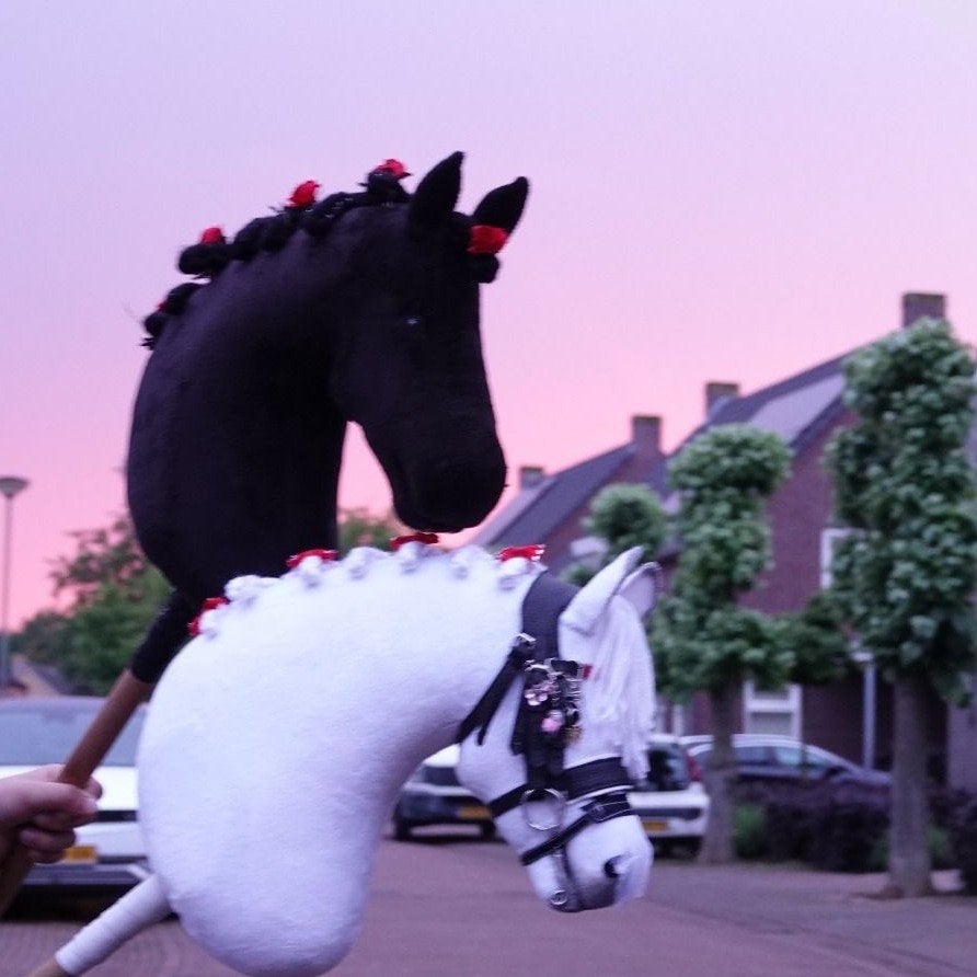 Zwarte Ovega Hobbyhorse - Zo goed als nieuw, Ophalen of Verzenden, Zo goed als nieuw