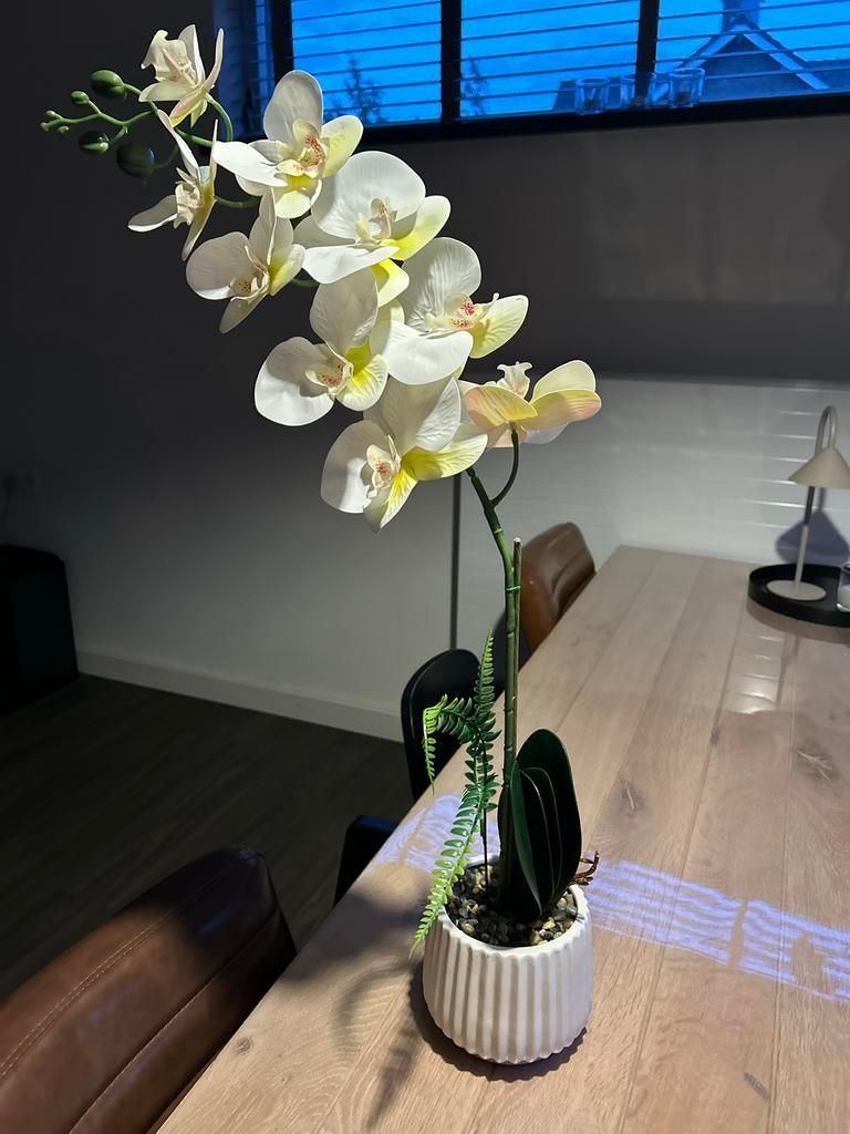 Kunst Orchidee in pot, Binnen, Gebruikt, Kunstplant, Ophalen of Verzenden
