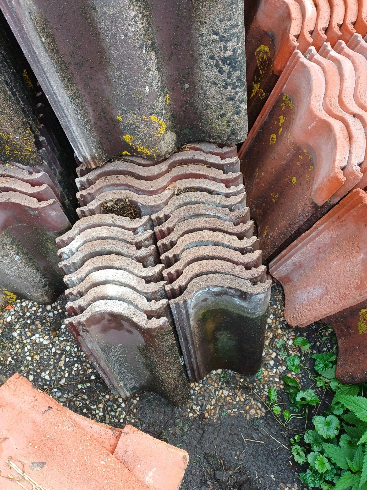 Partij dakpannen: Teeuwen, RBB betonpannen (Rood/Bruin-Paar, Doe-het-zelf en Verbouw, Ophalen, Gebruikt, 15 m² of meer, Dakpannen