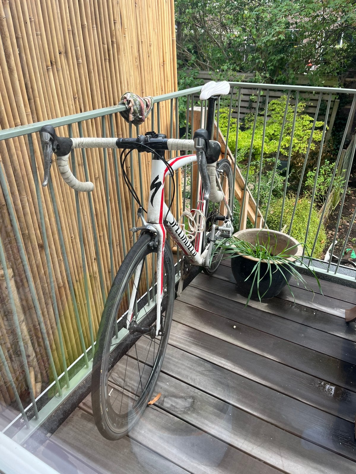 Specialized Allez Comp XL (2012) met RS81 wielen (2017), 28 inch, Gebruikt, 15 tot 20 versnellingen, 57 tot 61 cm